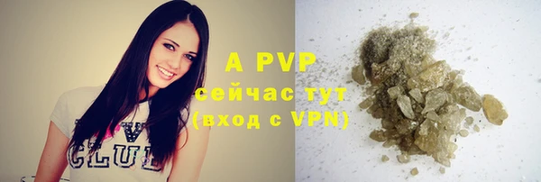 индика Кукмор