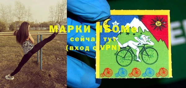 индика Кукмор
