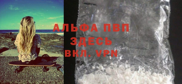 прущие грибы Краснослободск