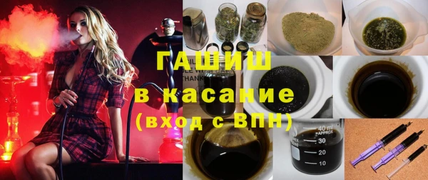 индика Кукмор