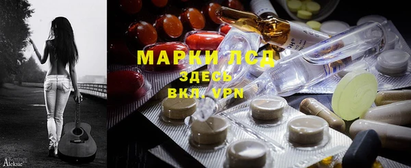 индика Кукмор