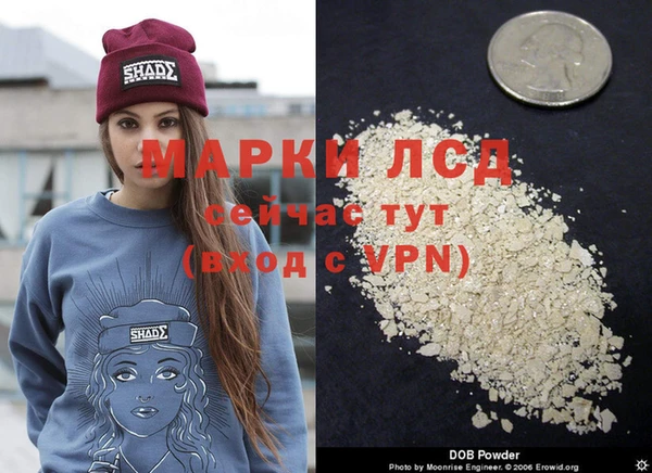прущие грибы Краснослободск