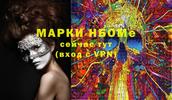 прущие грибы Краснослободск