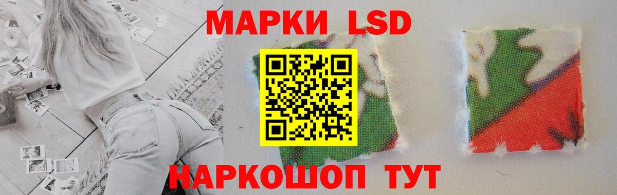 Курчалой  LSD-25 экстази  Вход с VPN  ЛСД экстази кислота  LSD-25 экстази кислота 