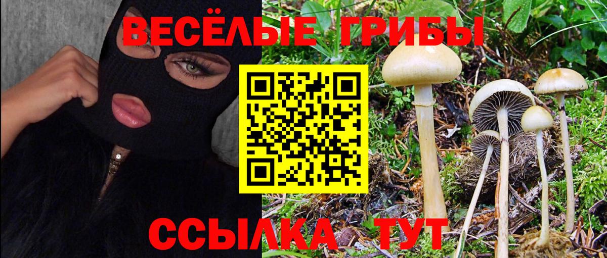 Галлюциногенные грибы Cubensis  Галлюциногенные грибы MAGIC MUSHROOMS  Курчалой  Вход с VPN 