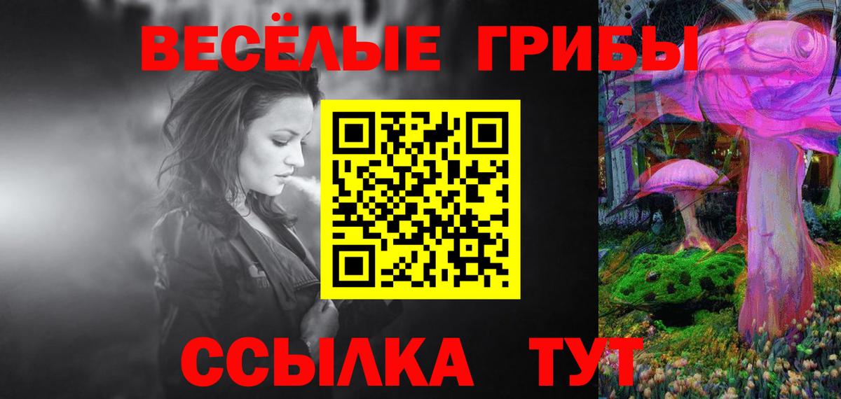 Псилоцибиновые грибы Magic Shrooms Курчалой