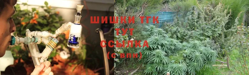 Бошки Шишки SATIVA & INDICA  где купить наркоту  Курчалой 